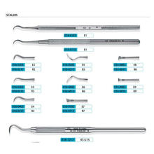 016 Scalers with Eight-Angle / Round Handle